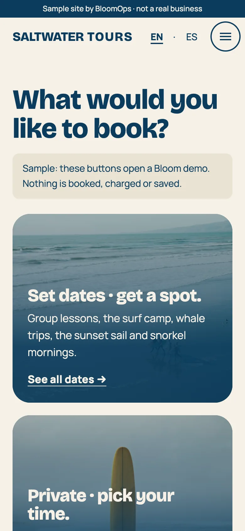 Saltwater Tours’ Book page on a phone: “What would you like to book?” with a set-dates card and a private-trips card.