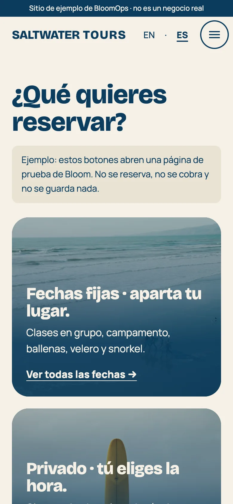 La página de reservar de Saltwater Tours en un celular: “¿Qué quieres reservar?” con una tarjeta de fechas fijas y otra de paseos privados.